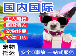 遥墙机场物流国际宠物托运 【国